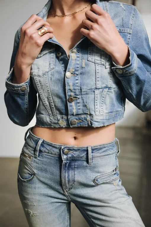 High Waist | Super Slim*Freeman T. Porter Alexa High Waist Cropped shark