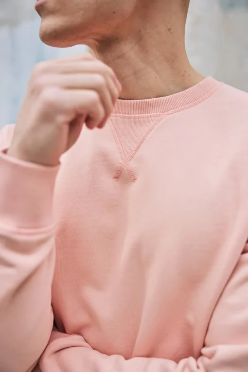 Sweaters & Sweatshirts*Freeman T. Porter Baton Snug dustypink