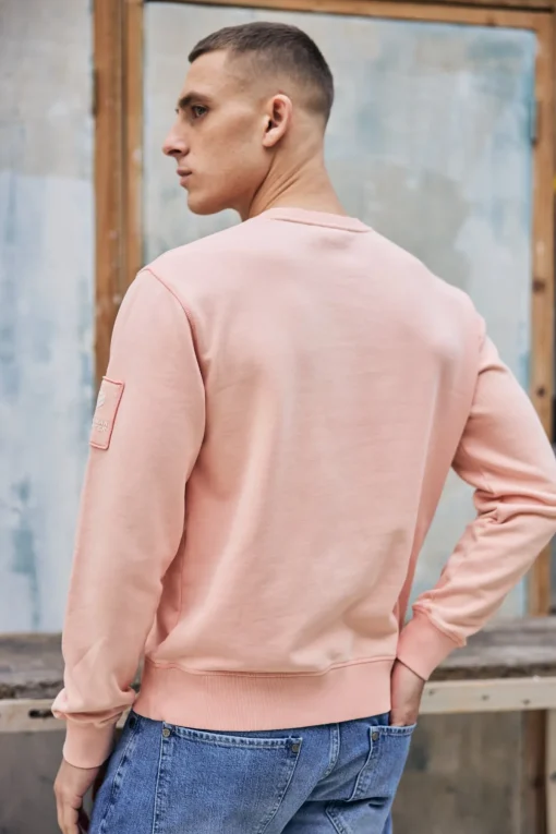Sweaters & Sweatshirts*Freeman T. Porter Baton Snug dustypink