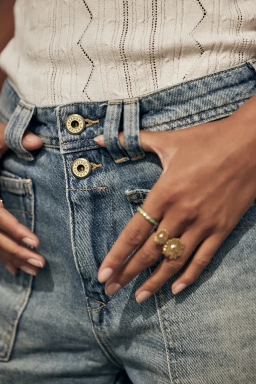Boyfriend | High Waist*Freeman T. Porter Edita Denim figari