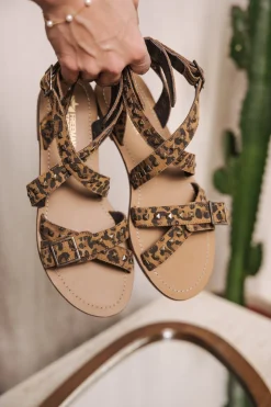 Shoes*Freeman T. Porter Elida Suede leo