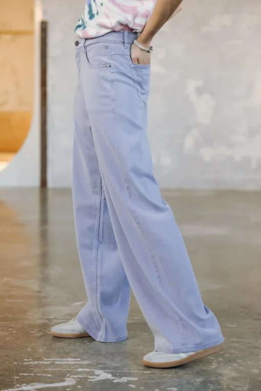 Colored Pants | Large*Freeman T. Porter Jane Lynx sweetlavender