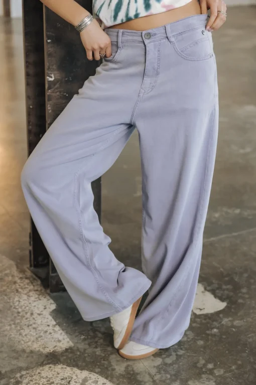 Colored Pants | Large*Freeman T. Porter Jane Lynx sweetlavender